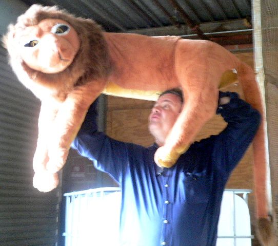 Giant Lion 46 Stuffed Realistic Lion King Big Plush